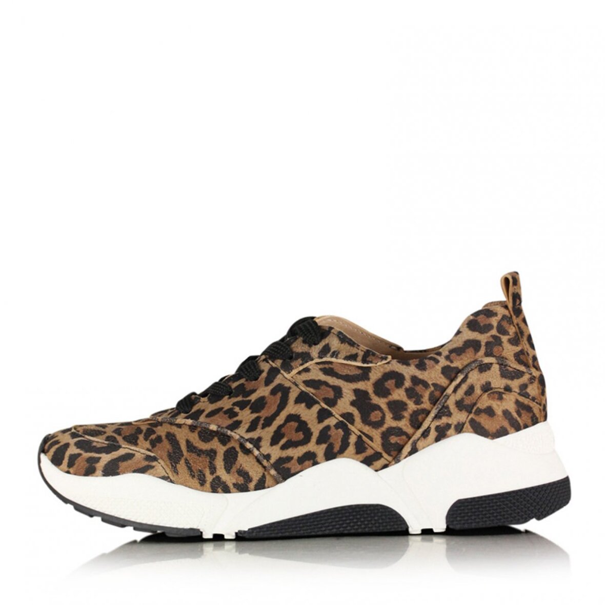 rør variabel Besættelse Leopard sneakers Billi Bi 8840 Butik Soes