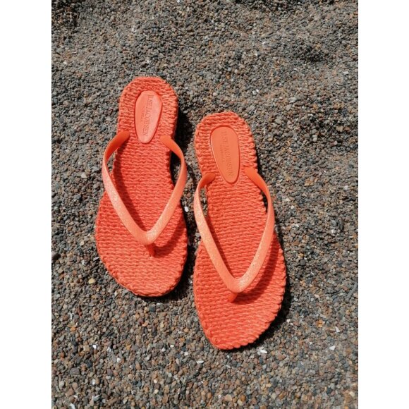 Ilse Jacobsen Flip Flops Spice - Dame - Sandaler - Ilse Jacobsen Hornbæk
