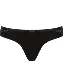 Triumph String S.A. Spotlight - String - Triumph