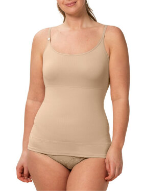 Triumph Shape hud - Shapeware - Triumph Triumph Shape hud - Shapeware - Triumph