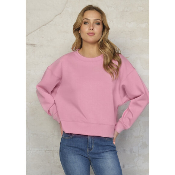 Prepair sweatshirt pink - Dame - Sweatshirts - PREPAIR