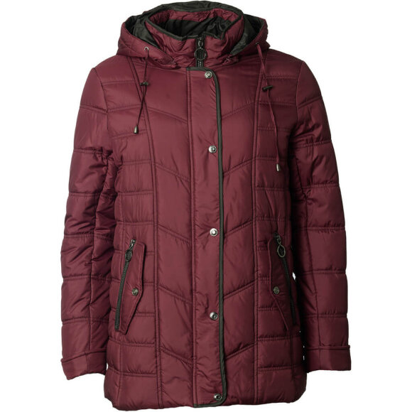 Windfield - Windfield Jakke