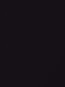 Fransa t-shirt L/Æ - sort - Dame - Bluser - FRANSA