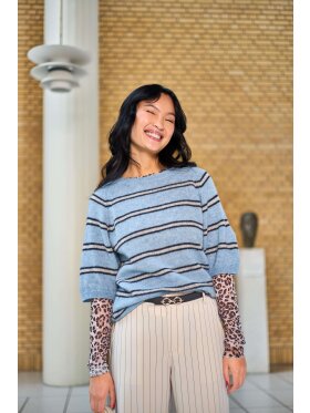 Black Colour Bluse Mesh - leopard - Dame - Bluser - Black Colour