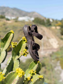 Woden sandal - Solvej - brun - Dame - Sandaler - Woden