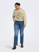 Only Carmakoma sweatshirt - Overdele til Plus size - ONLY CarmaKoma